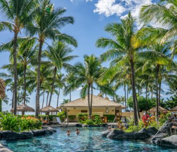 beach-chairs-coconut-trees-hut-261204 beach-chairs-coconut-trees-hut-261204
