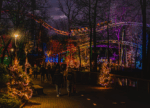 Entreeticket Bellewaerde Park - Afbeelding 4