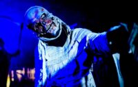 Walibi Holland - Halloween Fright Nights Ticket - Afbeelding 2