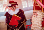 Entreeticket Mega Sinterklaas Spektakel - Afbeelding 2